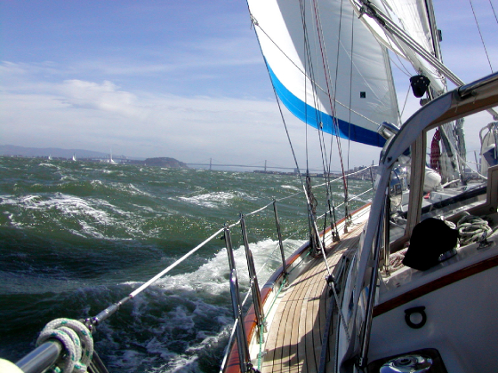 taxsail2005.jpg