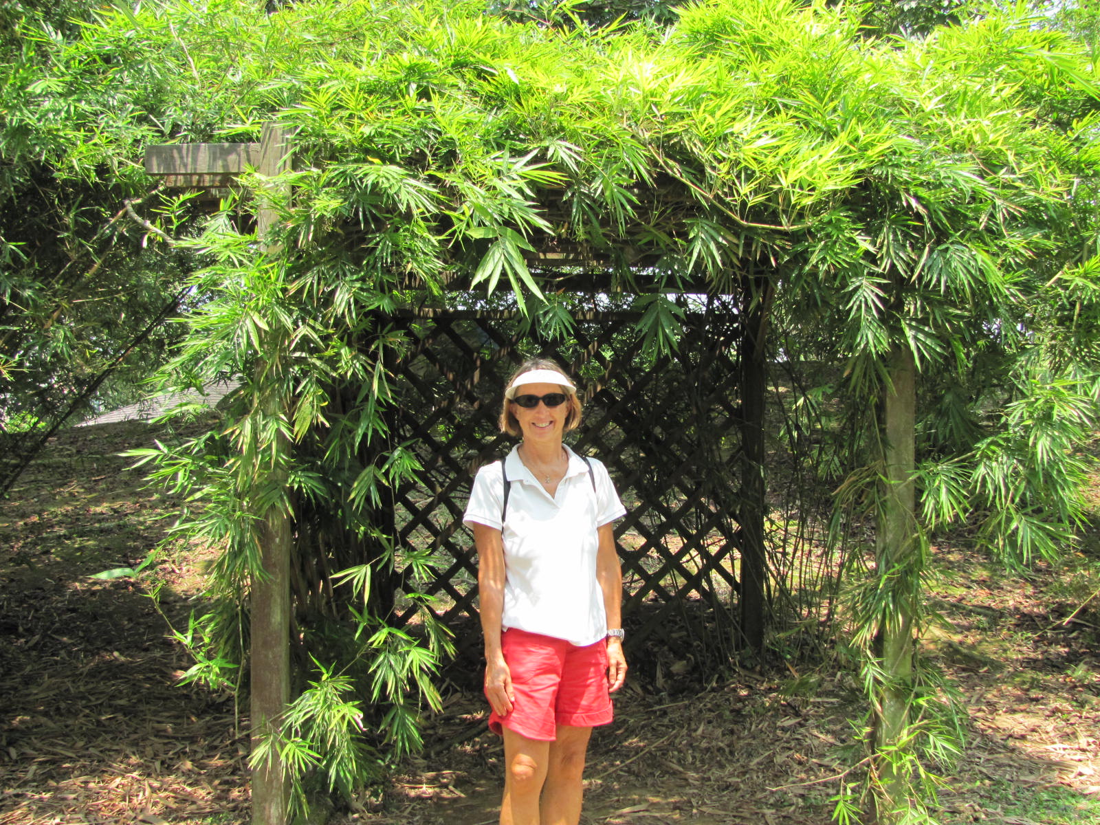 BotanicalGardens.JPG