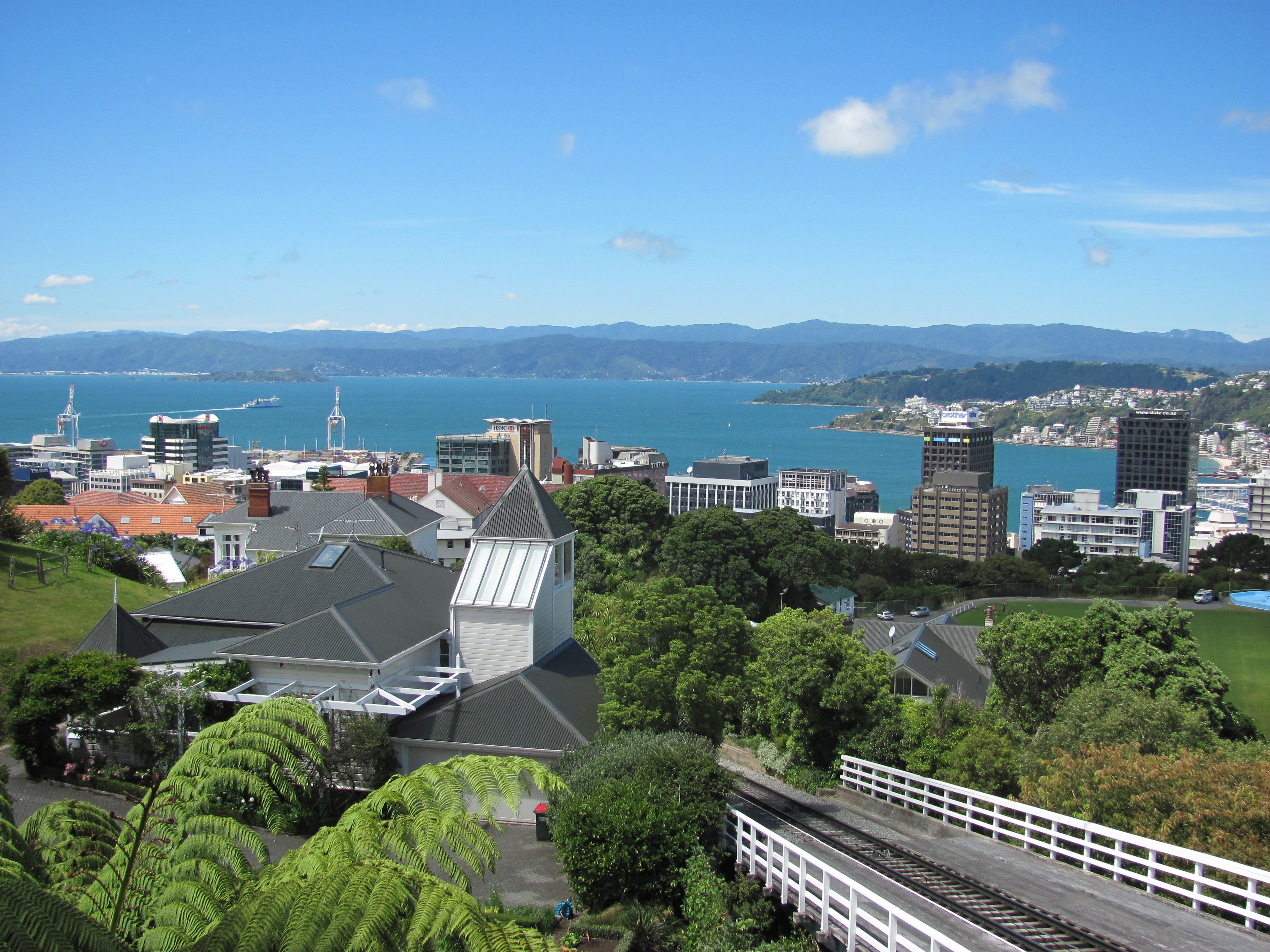 Wellington3.JPG